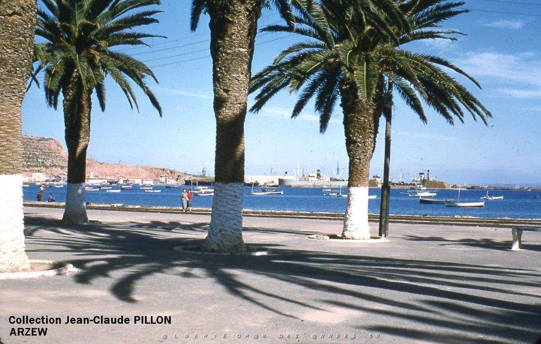 Arzew 182- Pillon.jpg